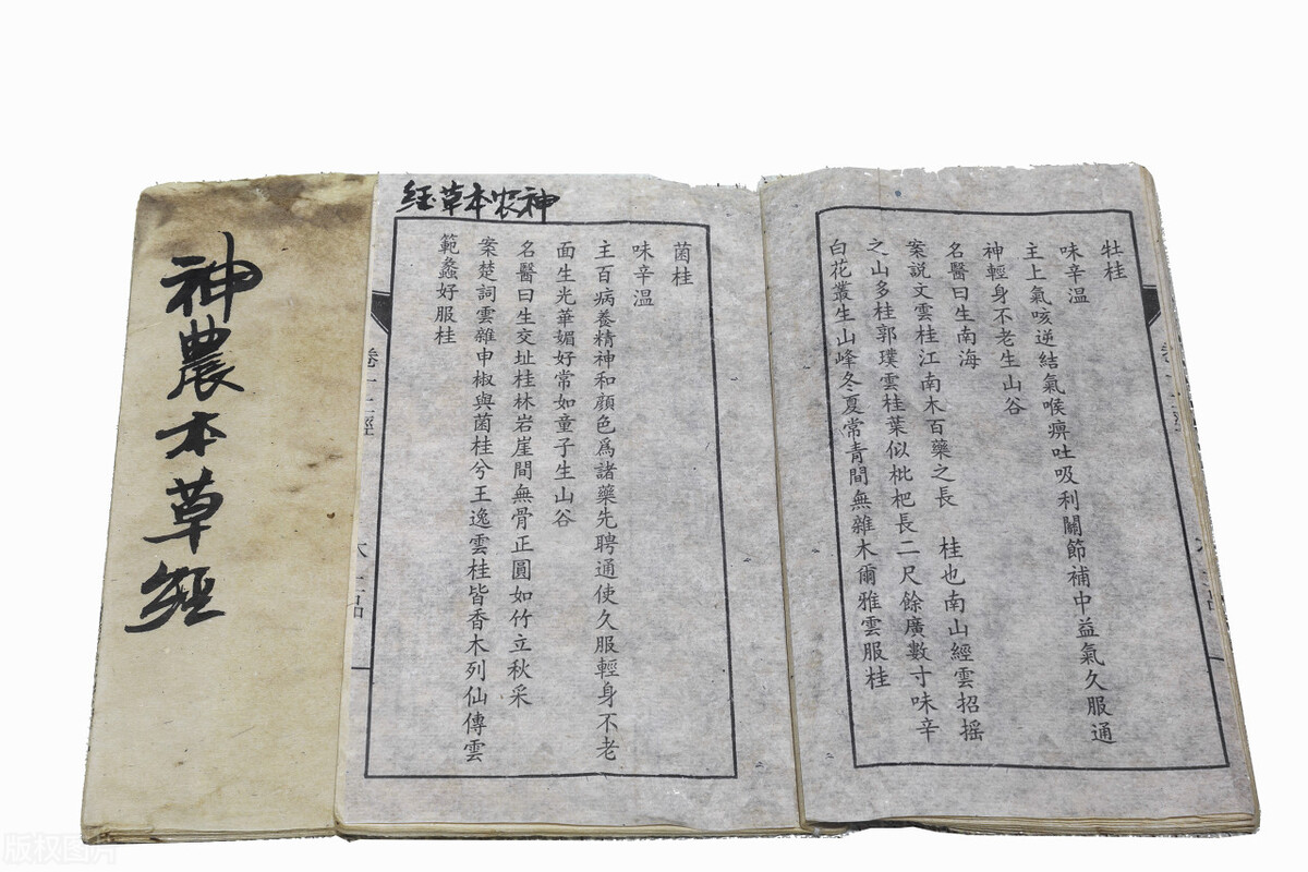 曹颖甫葛根汤方解,中医经方大讲堂葛根汤