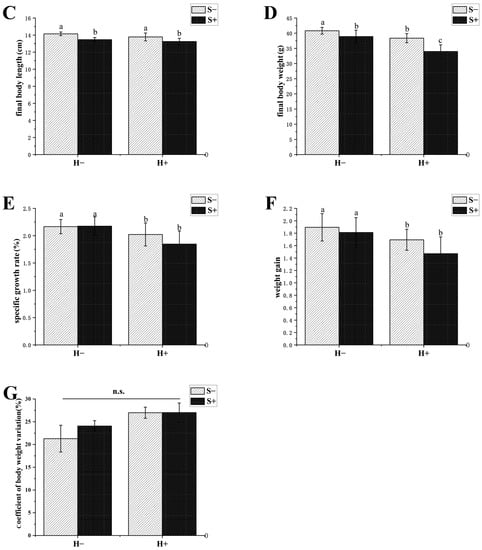 两种环境富集方法对石斑鱼幼鱼认知能力和生长性能的影响