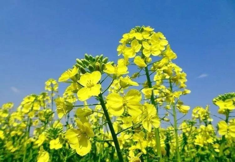 浣犳兂瑕佷慨鏀瑰摢绉嶇被鍨嬬殑鏂囩珷,浣犵殑鏂囩珷