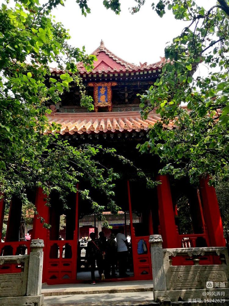 曲阜三孔介绍文章,曲阜三孔朗诵