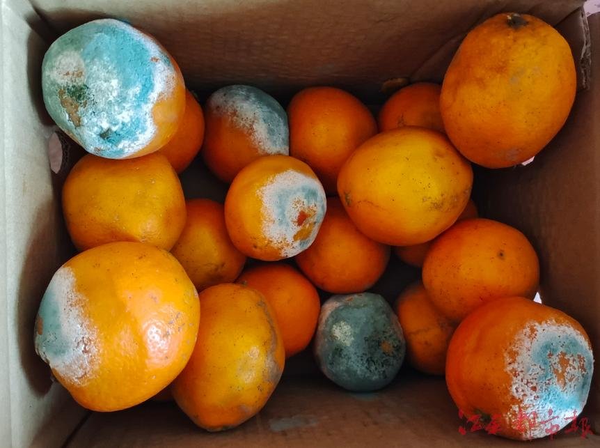 莫名其妙收到赣南脐橙快递,邮政快递水果慢