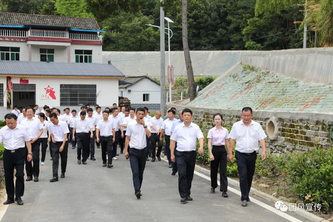 奏响新时代乡村振兴交响曲,团风县乡村振兴局项目公示
