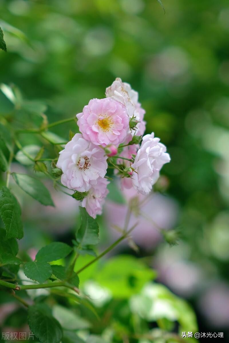 心灵日记100字,心灵日记普通人