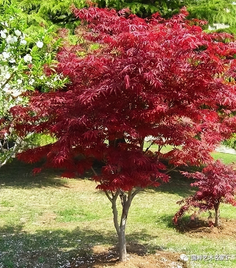 国粹艺术名家刘福生,海丰陈汉洲书法
