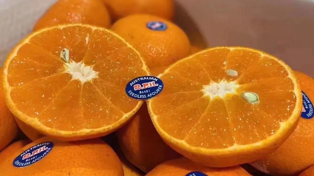 开一家普通水果店要投资多少钱,投资一个大型水果店要多少钱