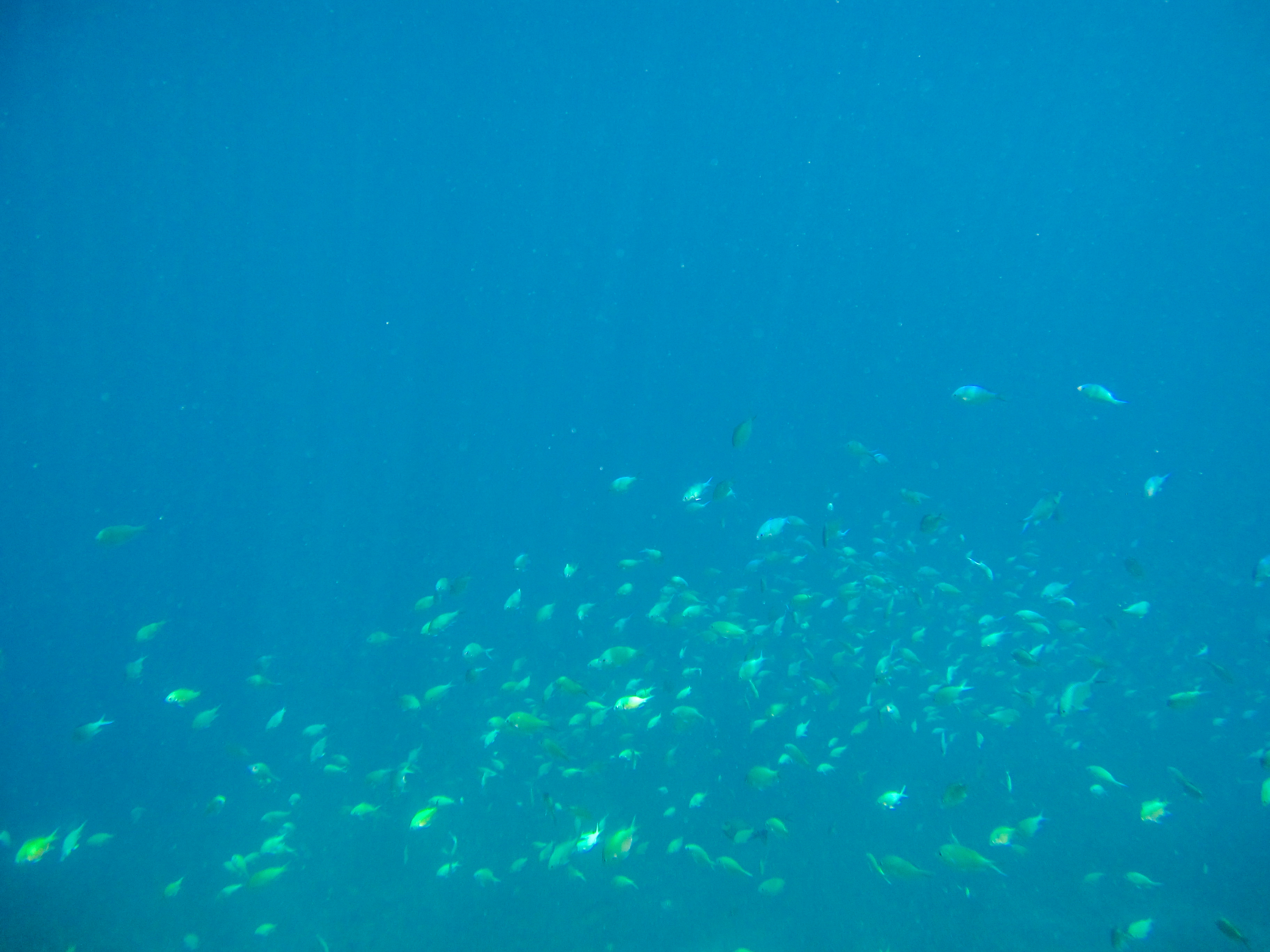 上帝的水族箱,上帝的鱼缸马尔代夫