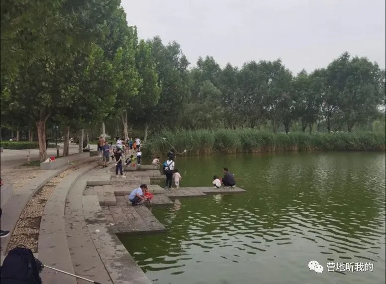 捞小河里的小蝌蚪,上海抓小蝌蚪的公园