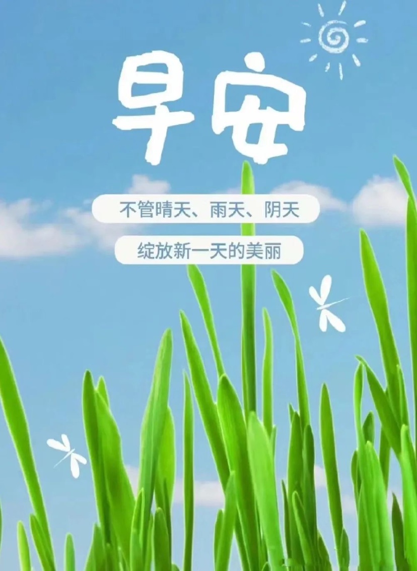 早安简单干净的句子,一句话精致早安励志语录