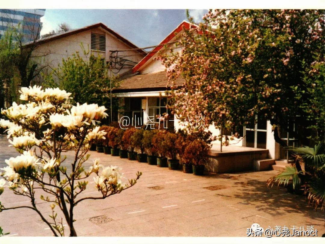 一张明信片的记忆,一枚邮票勾起的回忆