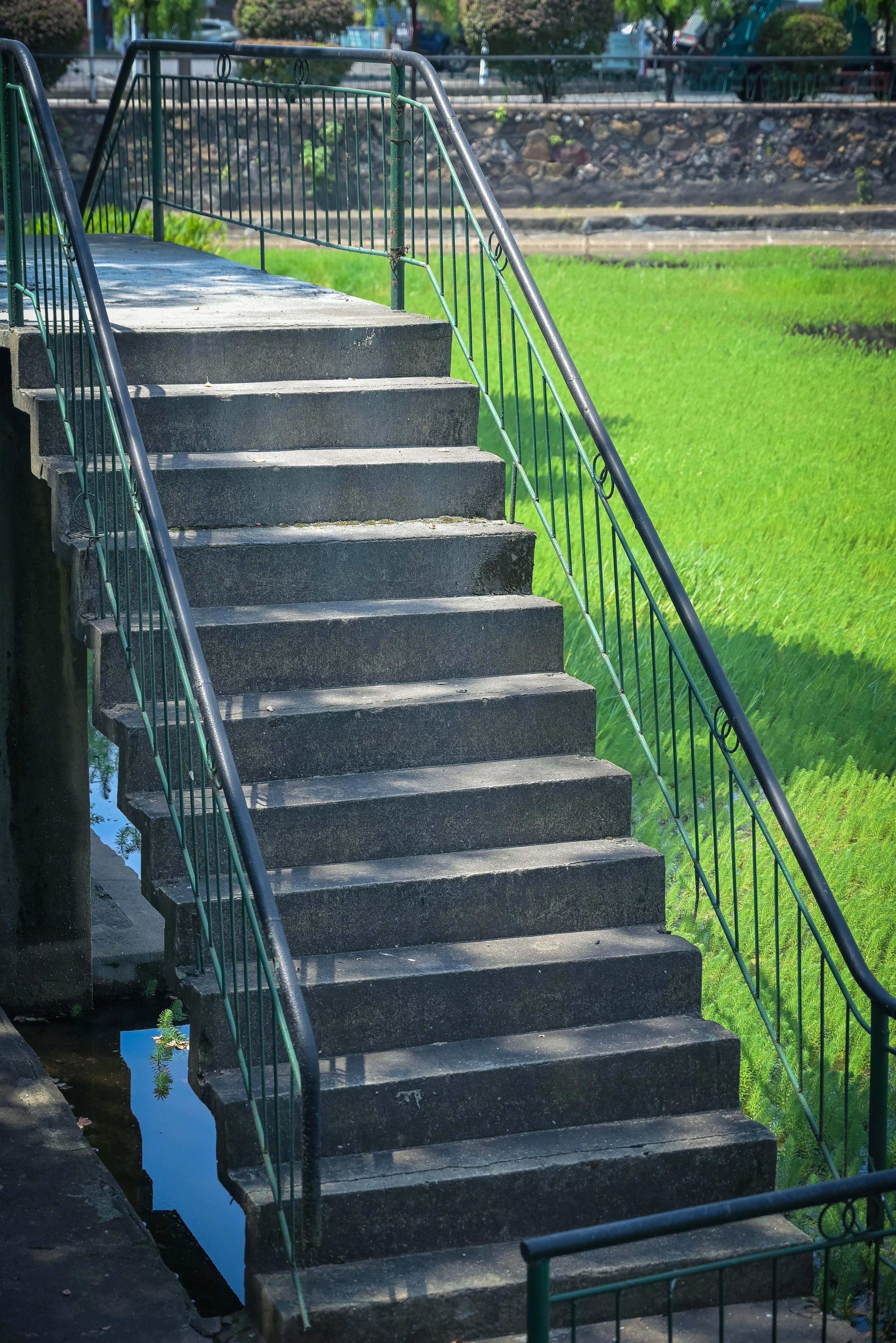 株洲棉纺厂,株洲棉纺厂历史