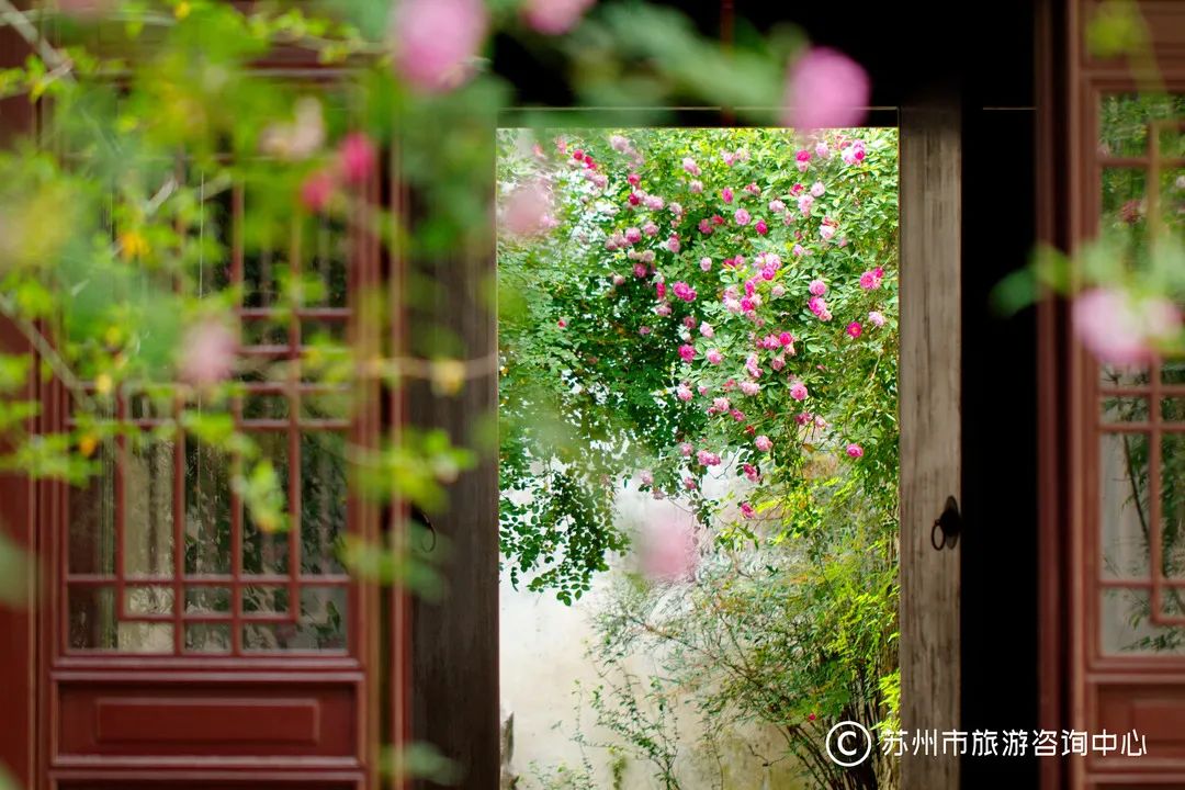 特种兵式旅游攻略苏州,苏州特种兵一日游攻略