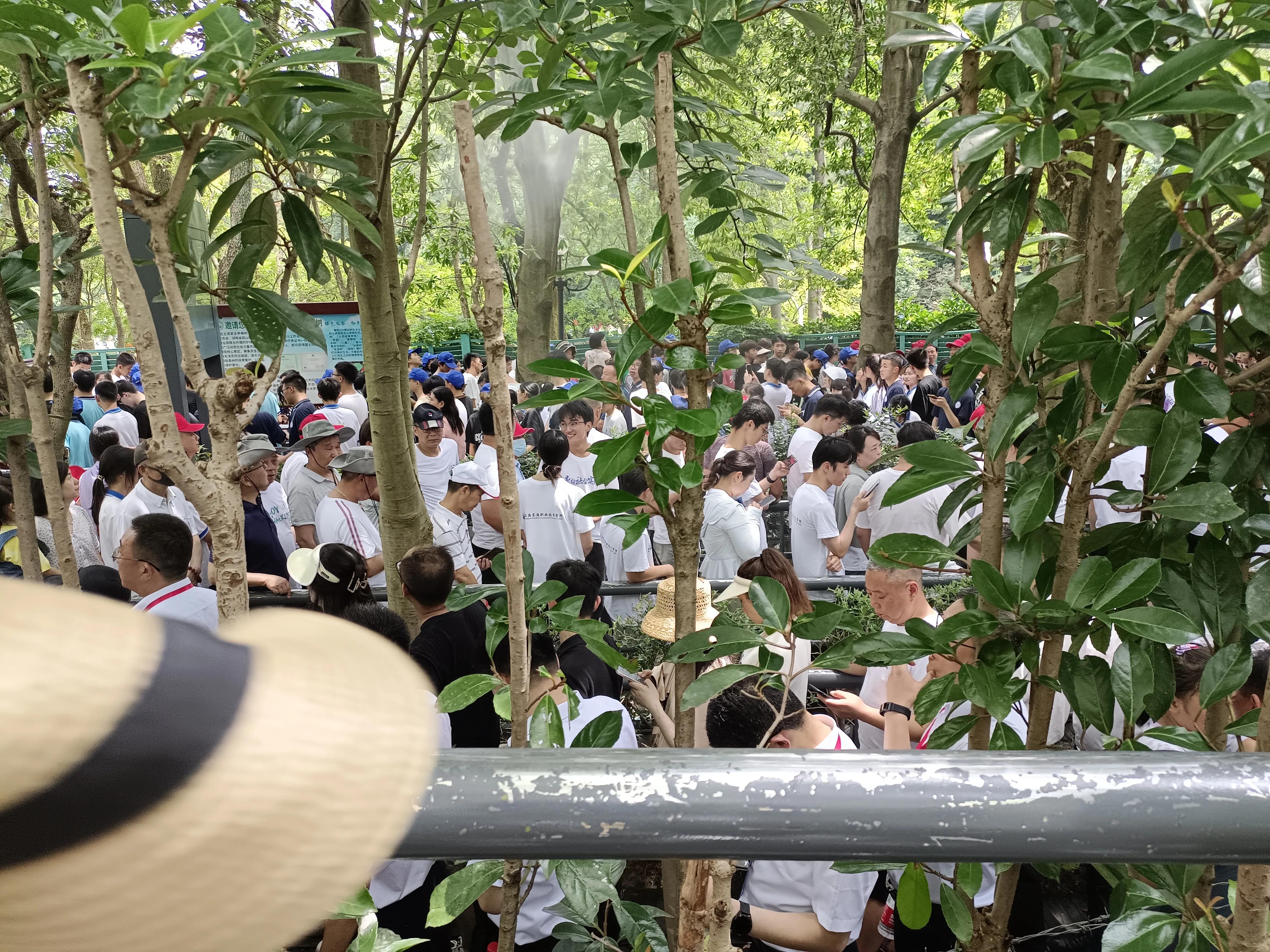 韶山之旅,一次很有意义的韶山之旅