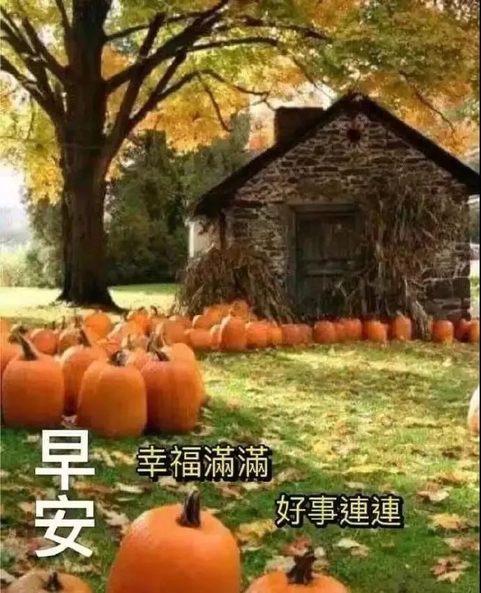 最真挚的祝福和问候早上好表情包,早上好图片带字逗人开心表情包