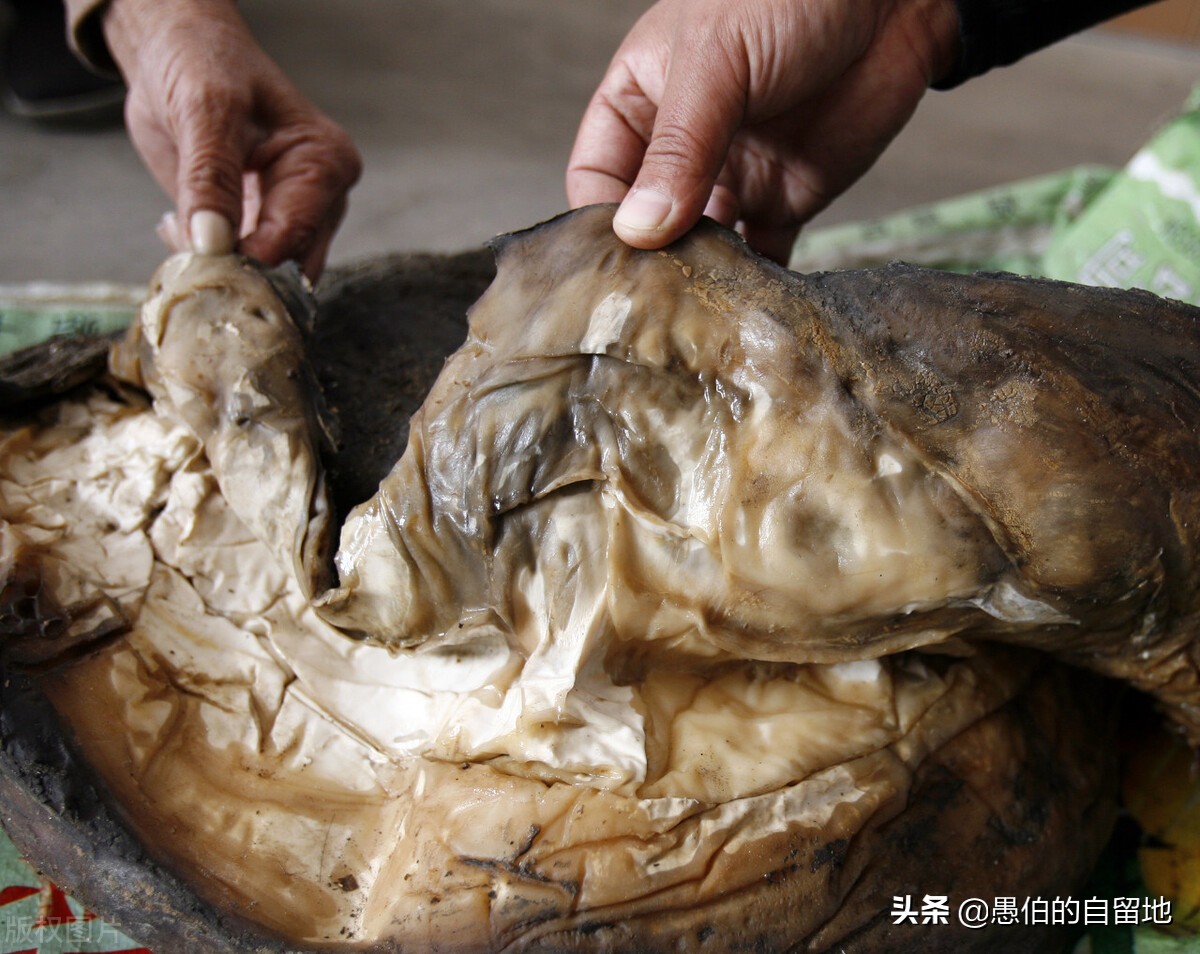 东北深山发现的怪物,真实洞穴里发现的怪物