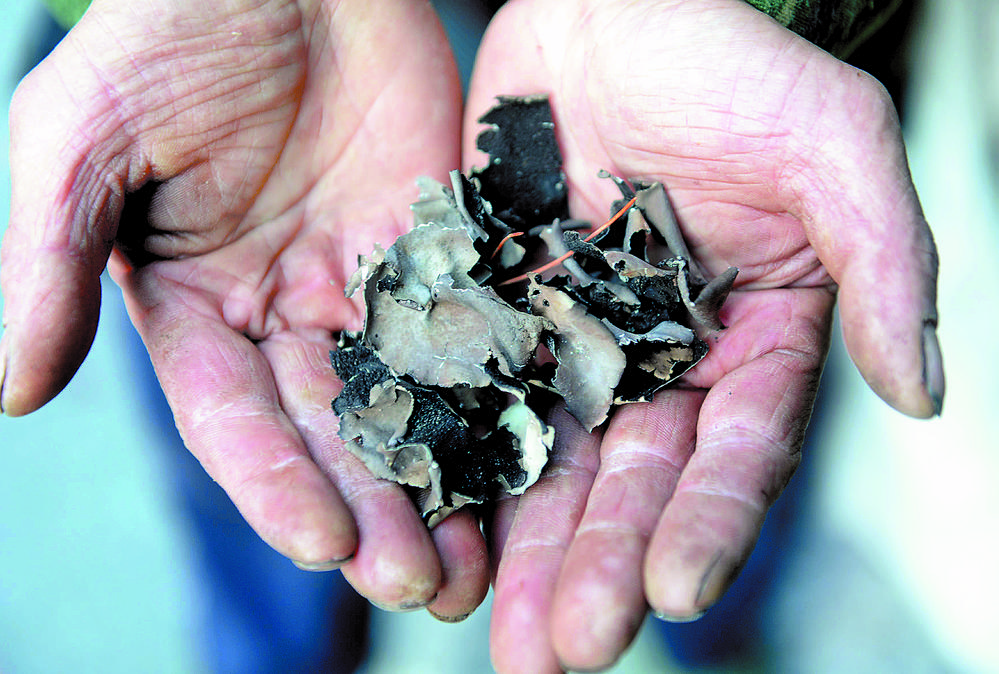 绝壁舞者户外运动,绝壁舞者电视剧