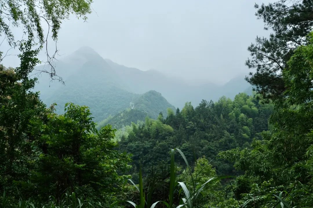 杭州冬日旅游自驾,杭州周边避暑两日自驾游攻略