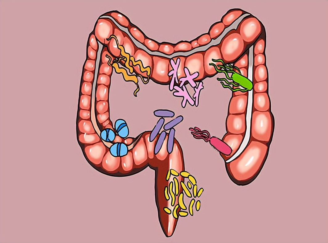 情侣间的“灌肠游戏”影响身体健康吗？听听医生怎么说