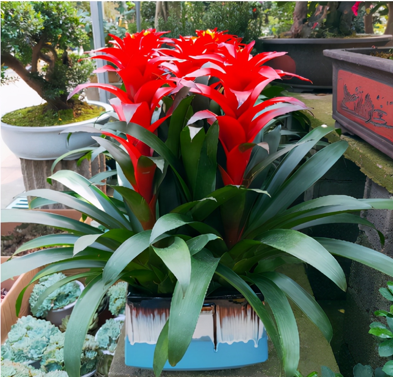 琚獥浜嗕竴娆″氨寰堥毦鎵惧洖鏉ヤ簡,琚獥鍚庤姳浜嗕竴骞磋蛋鍑烘潵