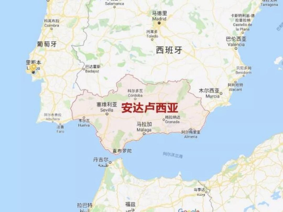 被误解的橄榄油,橄榄油有什么误解