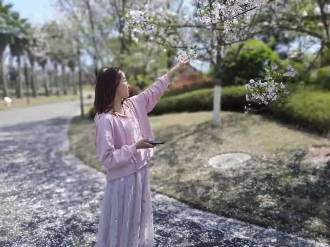 成都周边赏花烧烤一日游推荐免费,成都赏樱花露营