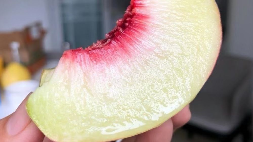 水果店储藏保鲜技巧,水果店里水果怎么保鲜