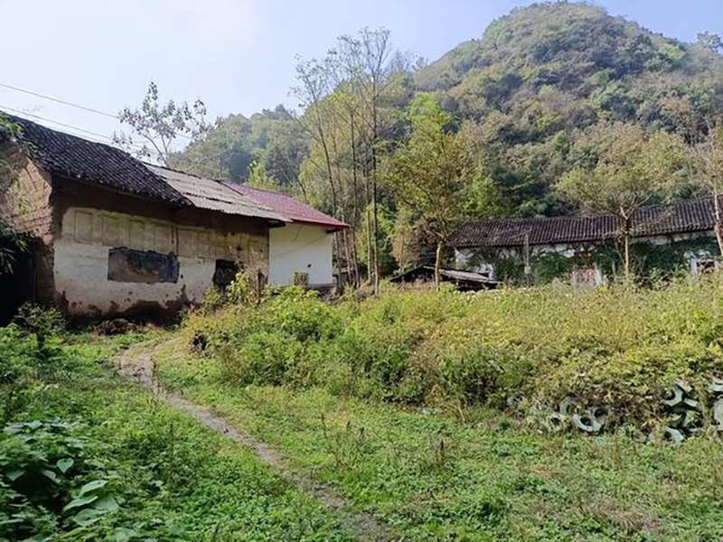 09年，云南光棍强占发廊女为妻，住深山老林，最后结果如何？