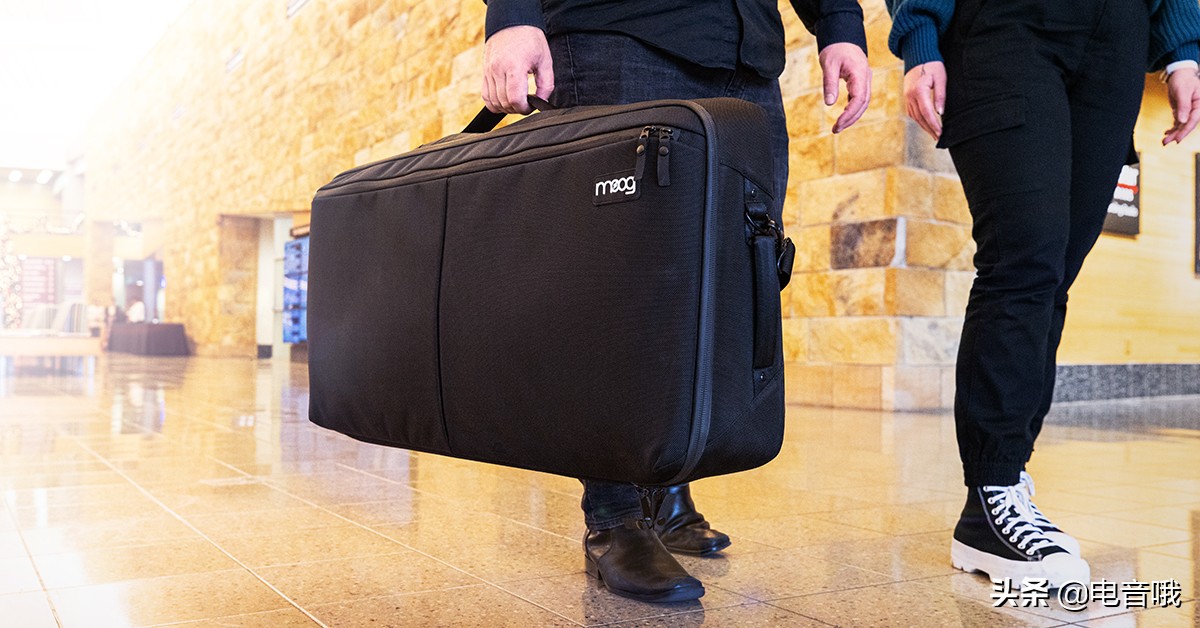 现场演奏家必看:硬质琴箱与软质琴包选购指南