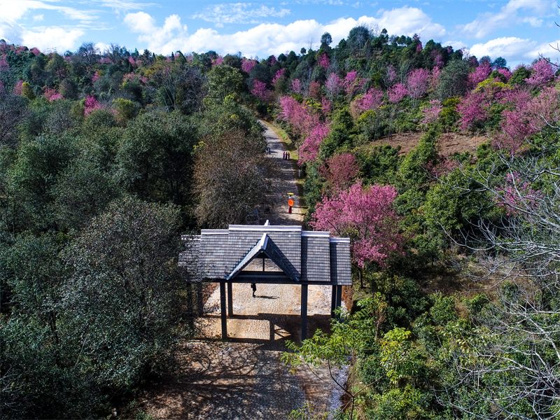 冬季避寒还是得去云南西双版纳,云南版纳哪些地方值得去