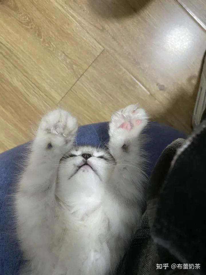 治愈的故事视频,一个癌症患者的康复故事在线阅读