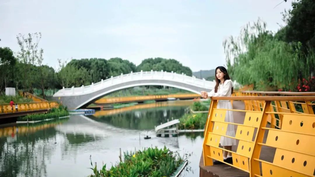 四川十大知名大学,四川大学是个什么档次的学校