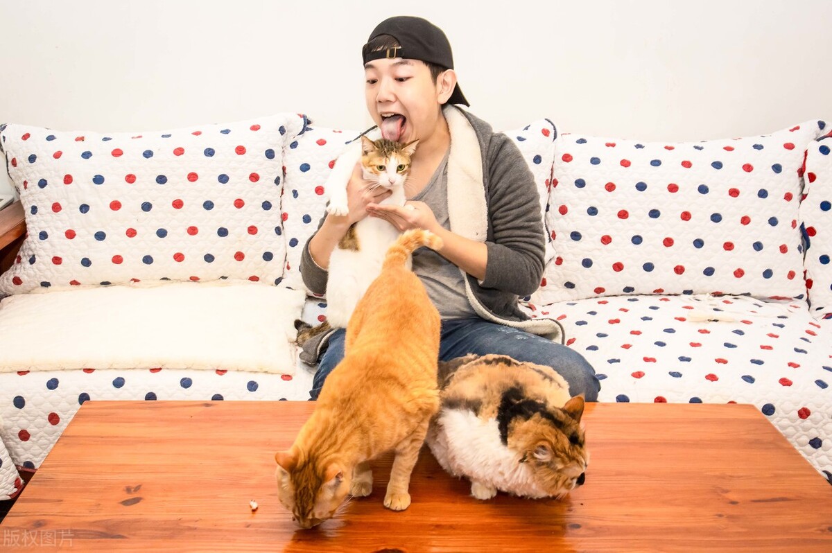 如何用成语给孩子取名字好听的,适合男孩起名的成语