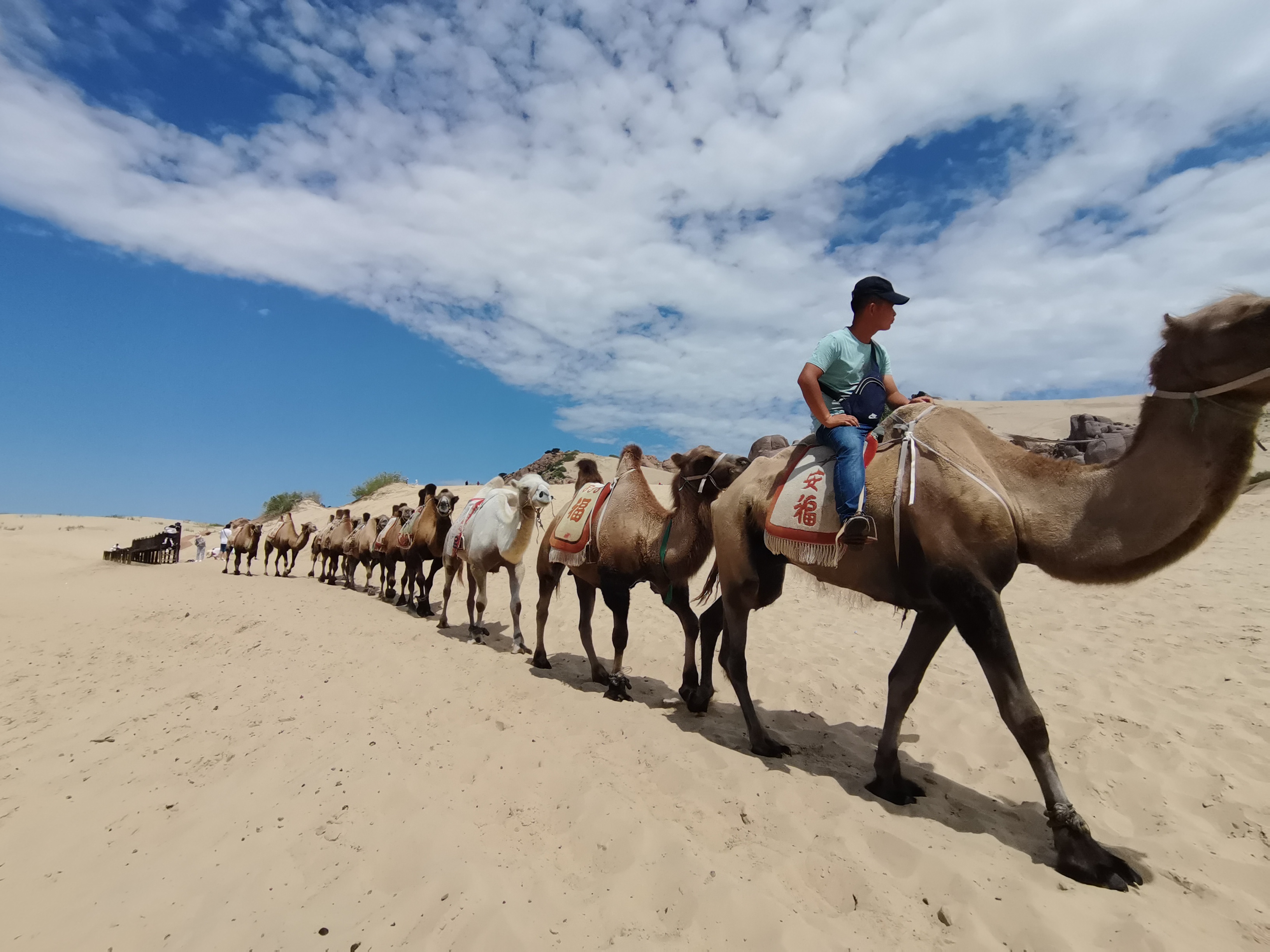 抓住暑假的尾巴去浪,抓住暑假的尾巴去兜风