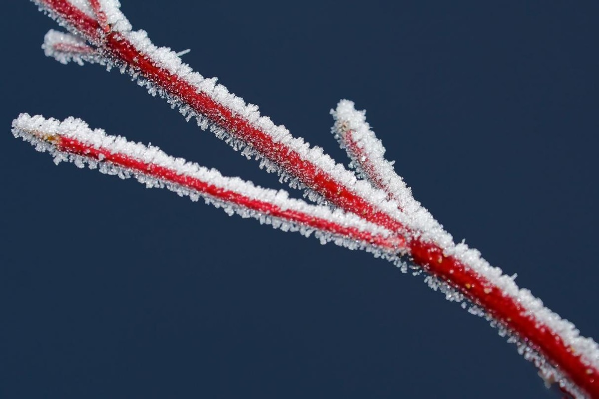 中医抗肿瘤的最佳方法,治疗肿瘤的中医要几味药