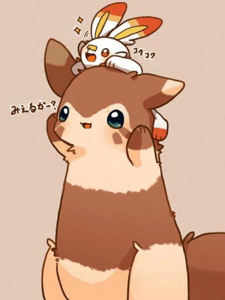 目标是一般系宝可梦大师！家门宠介绍之家门鼠篇