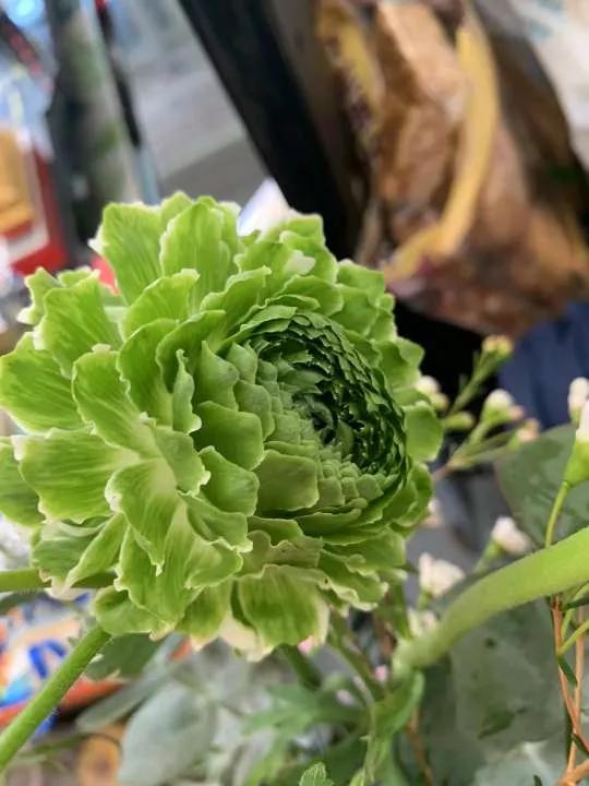 岁月斑驳留下来的都是静好时光,岁月斑驳愿时光静好