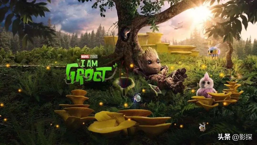 hbo年度大招,hbo年终开播