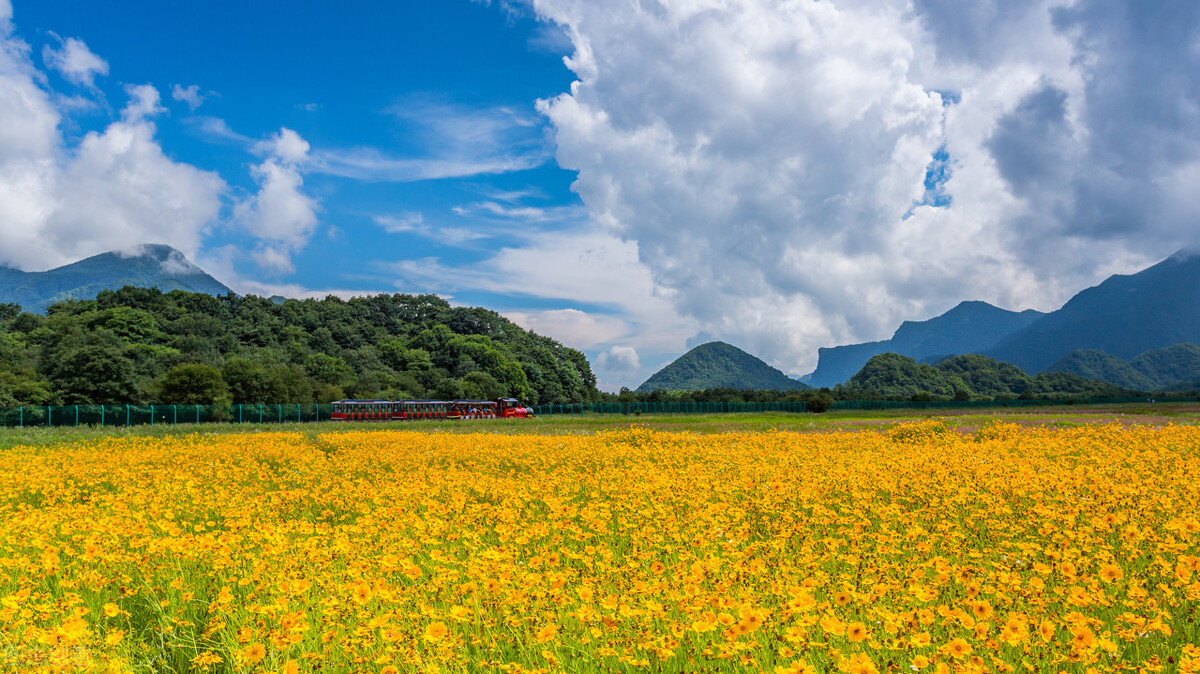 英文绘本的重要性,英语绘本对阅读的好处