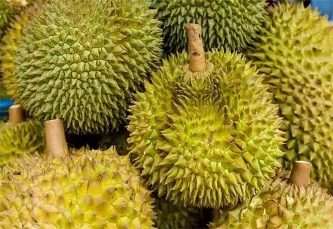 榴莲怎么挑才能挑到最好吃的榴莲,榴莲怎么挑才能挑到好吃的