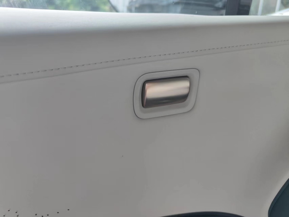 极氪x该怎么买,极氪x特别之处