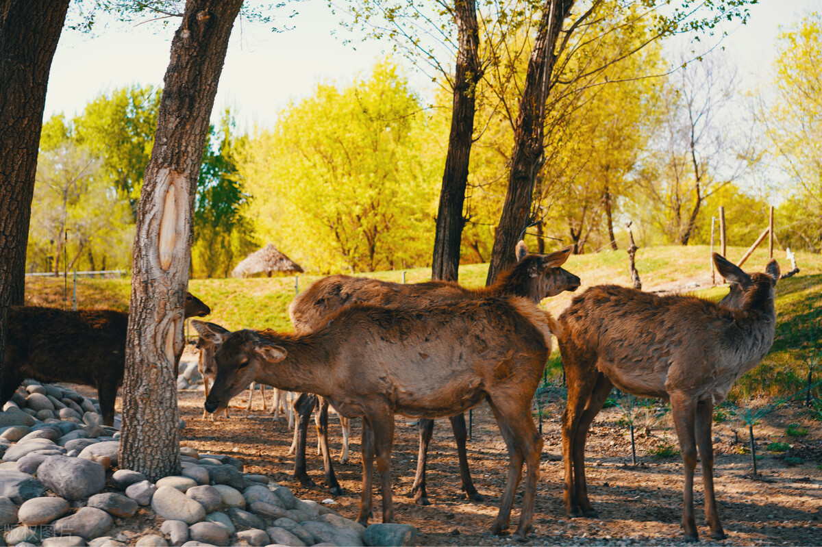 盘点徐州市区和近郊7个适合带孩子一起玩的地方，你去过几个?