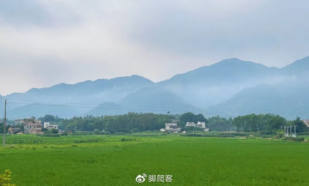 自然保护区志愿者申请,生态文化保护志愿者招募