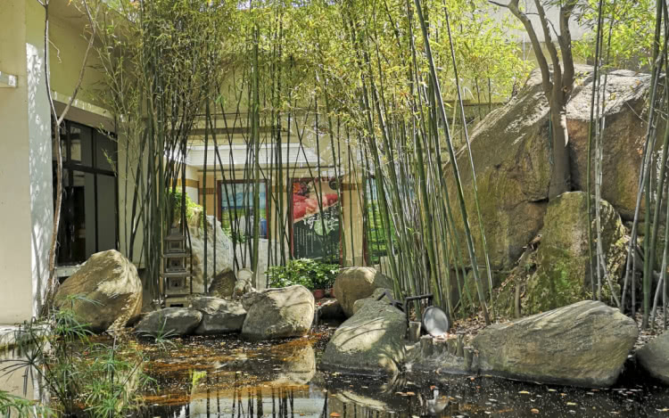 赏城中美景，品厦门味道。城市中心C位酒店，毗邻植物园、中山路