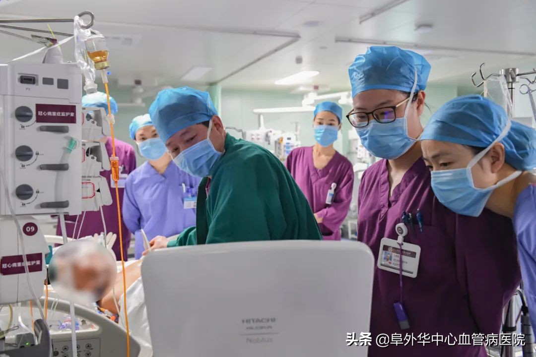 ecmo转运患儿,ecmo转运流程图