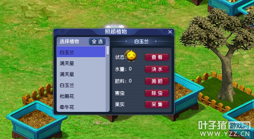 梦幻西游种树技巧攻略,梦幻西游种树找老花农后要除虫吗