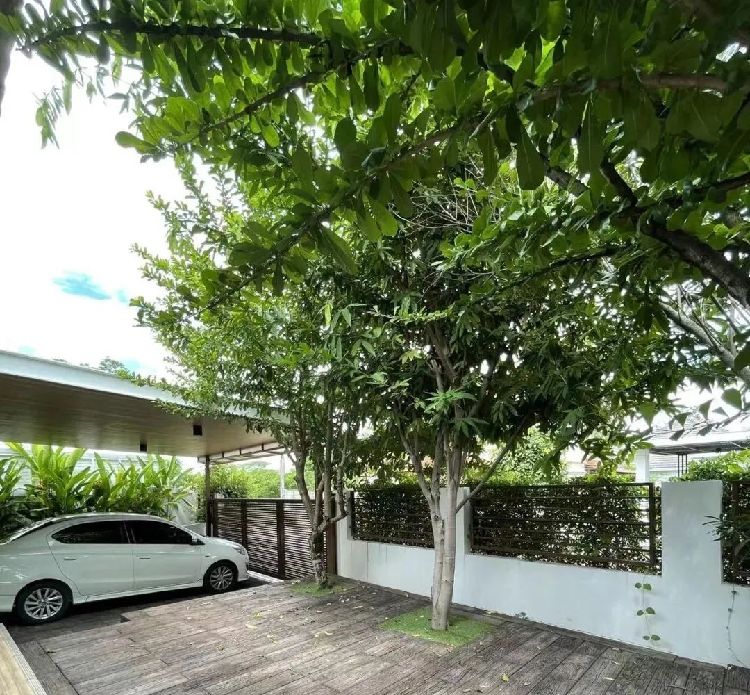 中国妈妈在国外教育孩子,中国妈妈在泰国