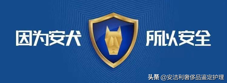 dior三格戴妃包和香奈儿19bag选哪个,christiandior戴妃包怎么背