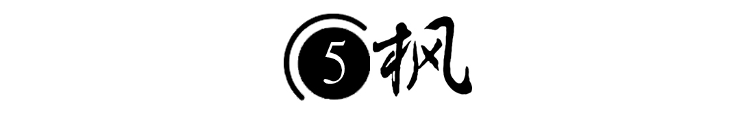 河北女孩瘫痪,河北女子瘫痪在床20年