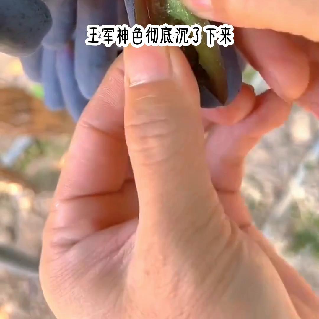 名《念念无言》@DOU+上热门