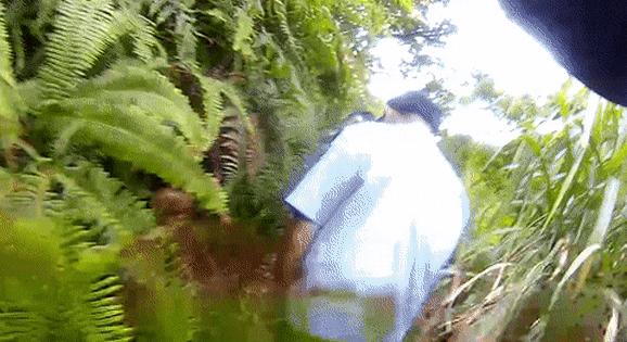 采摘杨梅园有哪些安全提示,余姚杨梅采摘最佳时间