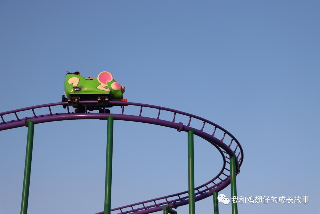 爱美丽推荐打卡第76|合肥必打卡|草坪+湖泊+游乐园+萌宠市集+花海